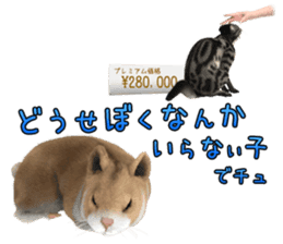 Sell Cute Hamster sticker #11747023