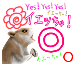 Sell Cute Hamster sticker #11747025