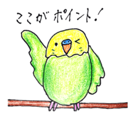 Happiness carry parakeet of Herb sticker #11747176