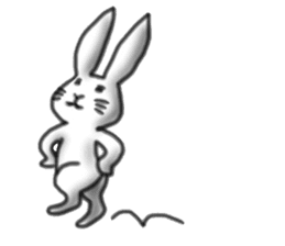 rabbit 2.2 sticker #11748121