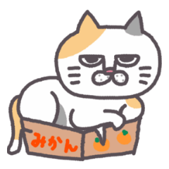 Of peaceful cat , happy every day