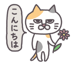 Of peaceful cat , happy every day sticker #11750642