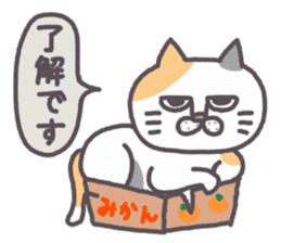 Of peaceful cat , happy every day sticker #11750644