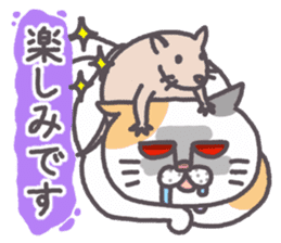 Of peaceful cat , happy every day sticker #11750648