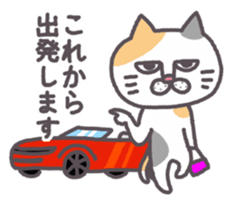 Of peaceful cat , happy every day sticker #11750652