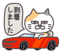 Of peaceful cat , happy every day sticker #11750653