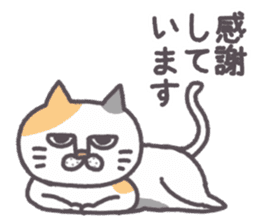 Of peaceful cat , happy every day sticker #11750662