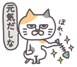 Of peaceful cat , happy every day sticker #11750663