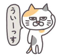 Of peaceful cat , happy every day sticker #11750665