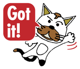 Antics cat _ slang sticker #11751486