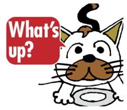 Antics cat _ slang sticker #11751489
