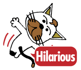 Antics cat _ slang sticker #11751505