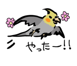 Cockatiel PenPen sticker #11752202