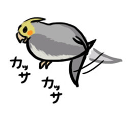 Cockatiel PenPen sticker #11752217