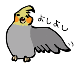 Cockatiel PenPen sticker #11752229
