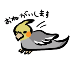 Cockatiel PenPen sticker #11752234