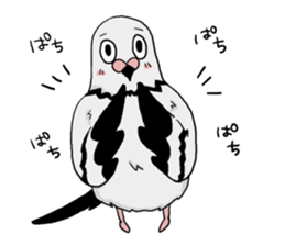 Pigeon sticker3 sticker #11752680
