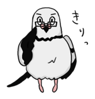 Pigeon sticker3 sticker #11752682