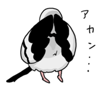 Pigeon sticker3 sticker #11752683