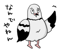 Pigeon sticker3 sticker #11752685