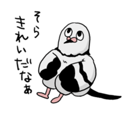 Pigeon sticker3 sticker #11752687