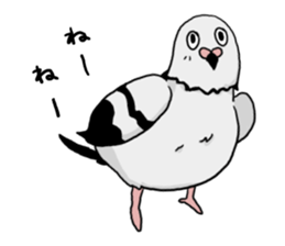 Pigeon sticker3 sticker #11752698
