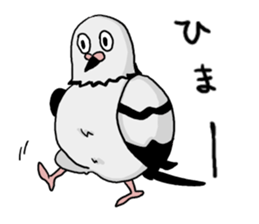 Pigeon sticker3 sticker #11752699