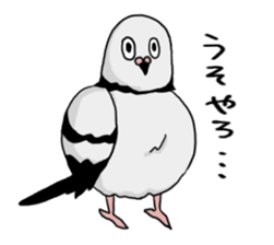 Pigeon sticker3 sticker #11752700