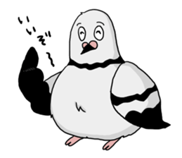 Pigeon sticker3 sticker #11752707