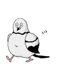 Pigeon sticker3 sticker #11752715