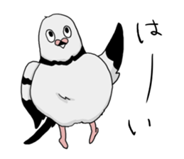 Pigeon sticker3 sticker #11752716