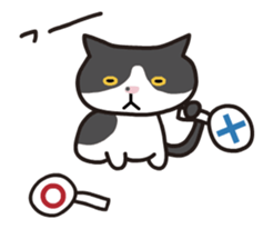 My cat "Mu-chan" animated sticker sticker #11753548