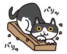 My cat "Mu-chan" animated sticker sticker #11753555