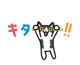 My cat "Mu-chan" animated sticker sticker #11753566