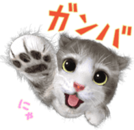 Animation Mofu Kitten Mofuu sticker #11754284