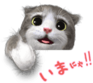 Animation Mofu Kitten Mofuu sticker #11754288