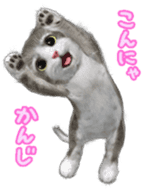 Animation Mofu Kitten Mofuu sticker #11754296