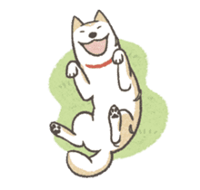 Shiba Inu (Shiba-Dog) Animated Stickers sticker #11754689