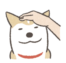 Shiba Inu (Shiba-Dog) Animated Stickers sticker #11754693