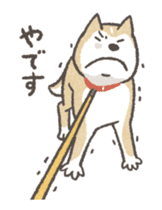 Shiba Inu (Shiba-Dog) Animated Stickers sticker #11754701