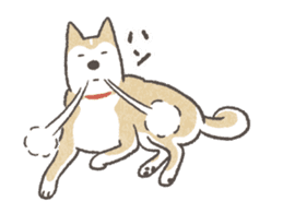 Shiba Inu (Shiba-Dog) Animated Stickers sticker #11754703