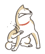 Shiba Inu (Shiba-Dog) Animated Stickers sticker #11754707