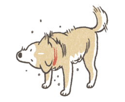 Shiba Inu (Shiba-Dog) Animated Stickers sticker #11754708