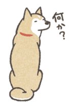 Shiba Inu (Shiba-Dog) Animated Stickers sticker #11754711