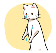 Cat of bipedalism sticker #11754909