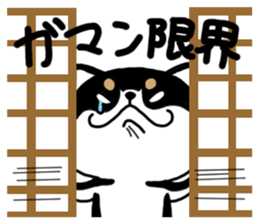 Negative black Shiba sticker #11757480