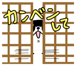 Negative black Shiba sticker #11757482