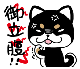 Negative black Shiba sticker #11757489
