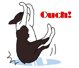 Boston Terrier fuu English ver. sticker #11757811
