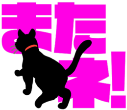 black cat with big letter sticker #11759315